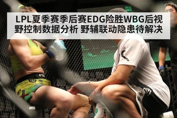 LPL夏季赛季后赛EDG险胜WBG后视野控制数据分析 野辅联动隐患待解决
