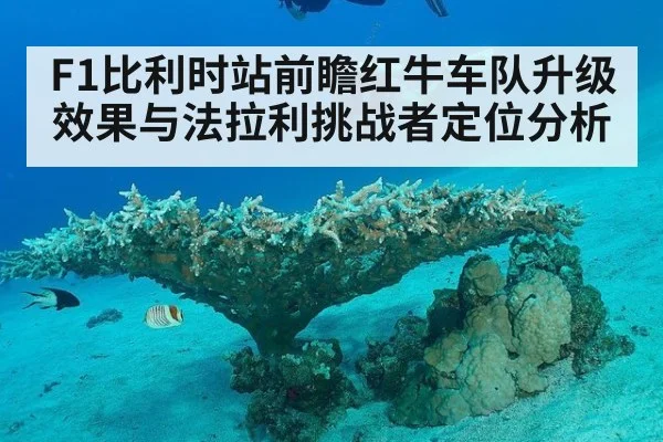 F1比利时站前瞻红牛车队升级效果与法拉利挑战者定位分析