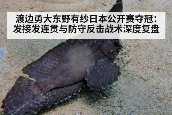 渡边勇大东野有纱日本公开赛夺冠：发接发连贯与防守反击战术深度复盘